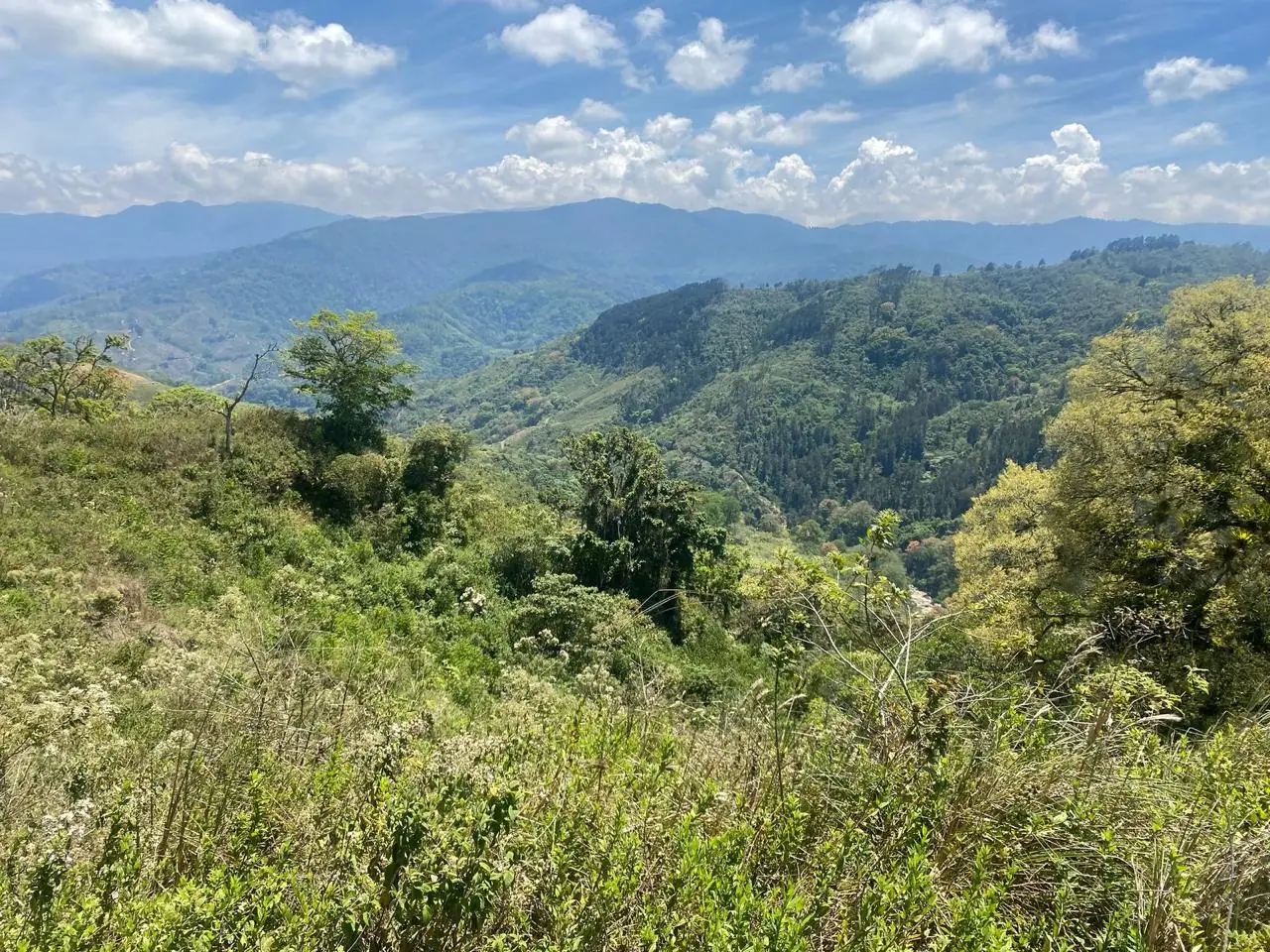 Vista panorámica Finca Praderas
